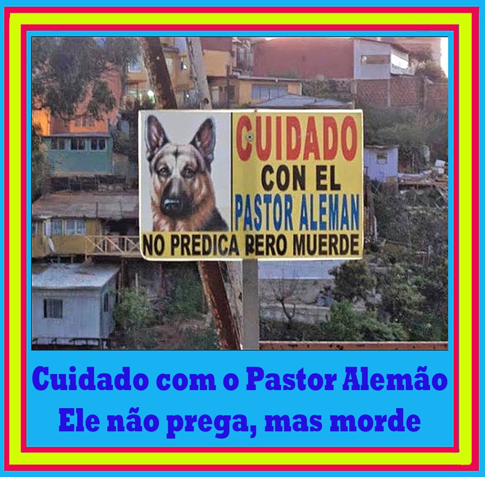 Cuidado con el pastor alemán