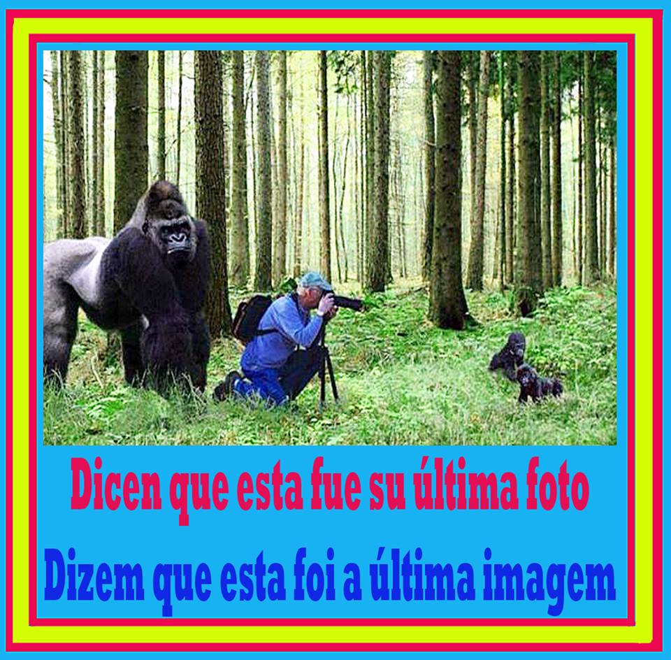 Dicen que esta fue su última foto