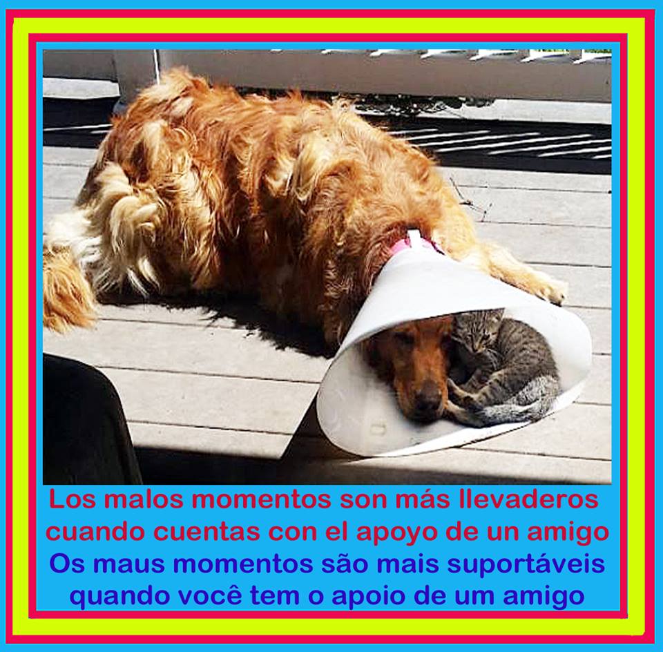 Los malos momentos son mas llevaderos cuenado cuentas con