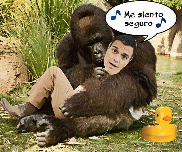 Los candidatos volverán a ser arropados por los aparatos de los partidos