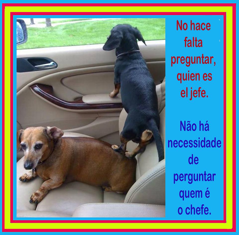No hace falta preguntar quien es el jefe