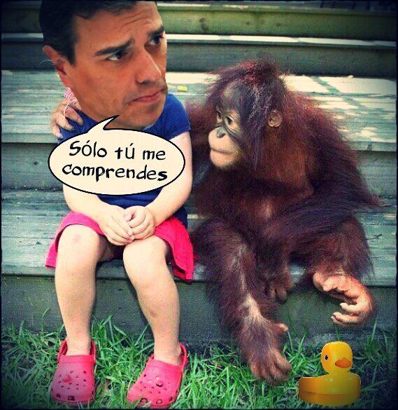 Snchz de bajón