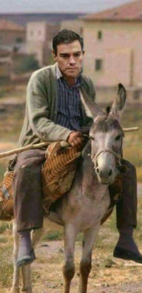 el-tonto-y-la-linde