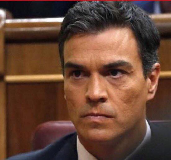 El Camino hasta el momento de Pedro Sánchez