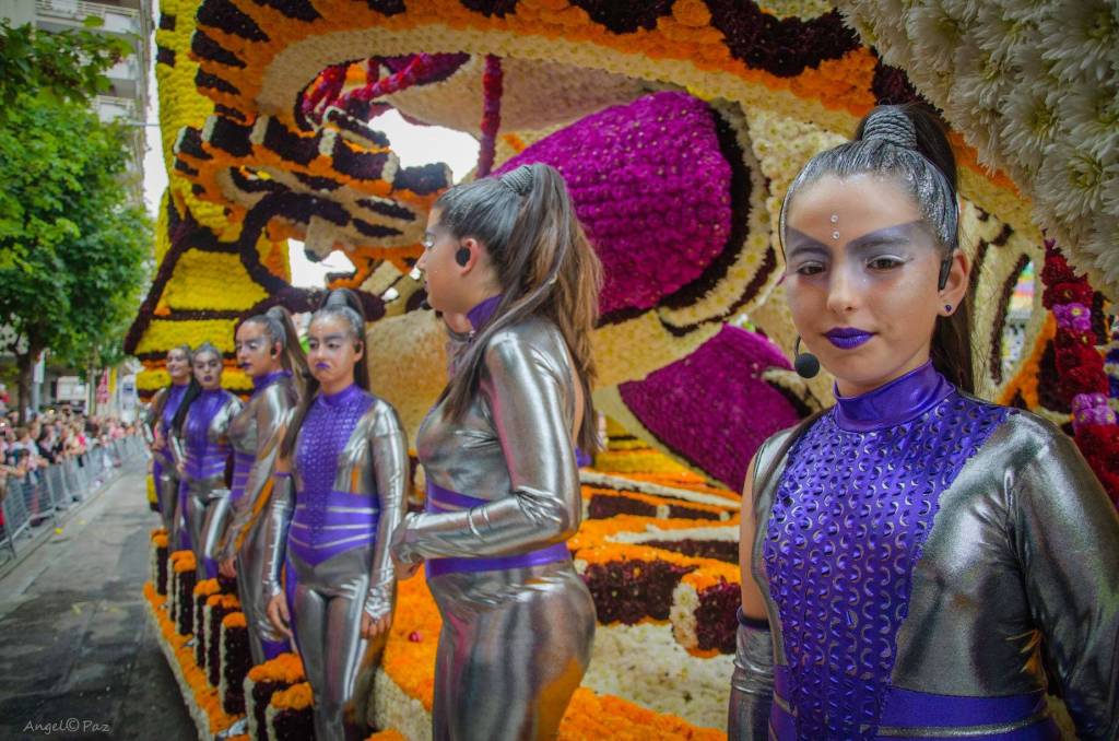 Una carroza laredana, puede llevar unas veinte a treinta mil flores y un petaleo de unas ochenta a cien mil pétalos por carroza