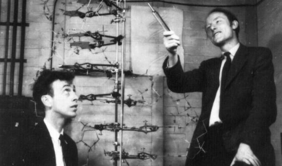 Crick y Watson en el laboratorio