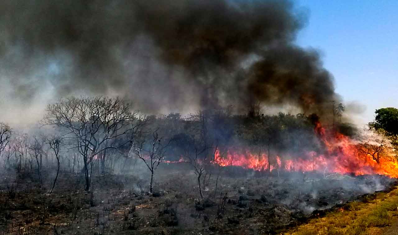 Según la NASA, la mayoría de los incendios que suelen darse en ésta época sucedían en África. La picardía política hizo que América del Sur se quede con la mayor parte de los incendios en 2019.