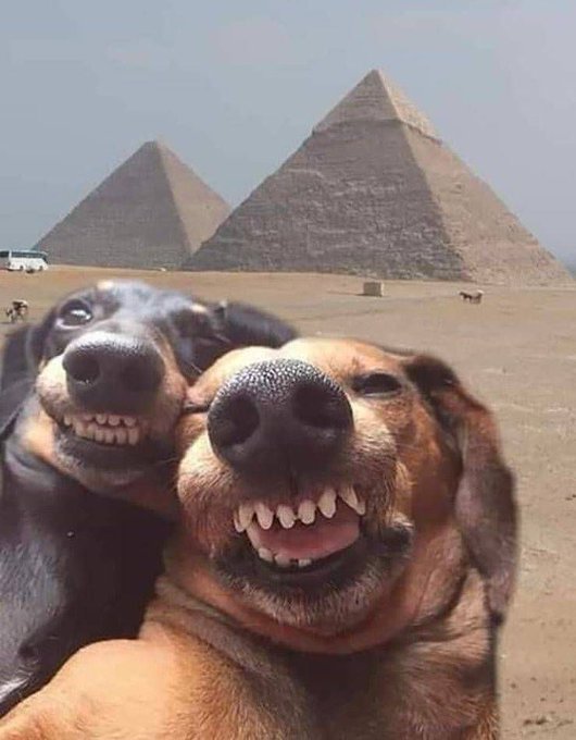 El por sus obras los conoceréis ha pasado a ser por sus selfies los conoceréis